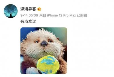 ​国产 9.6，播到一半被砍，太可惜