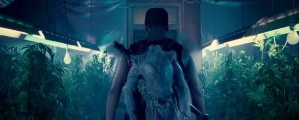 十部经典的外星人电影有哪些（经典必看的外星人电影排行榜）(5)_