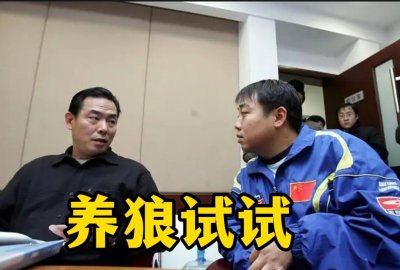 ​刘国梁乒乓球养狼计划的利与弊！张本智和是另类多数人待遇并不好