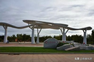 ​#i东营#【光影东营】东营市植物园