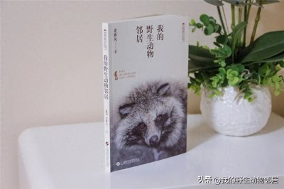 ​蛇年谈蛇：白条锦蛇1