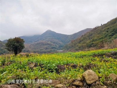 ​三个能赚钱的冷门行业