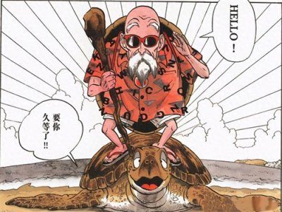 ​龙珠中名副其实的武学宗师——龟仙人