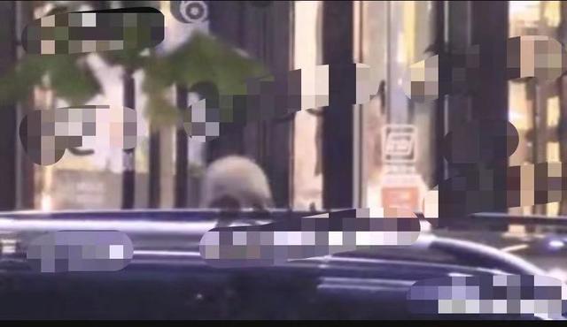 范冰冰的绯闻_崔始源绯闻女友范冰冰_范冰冰与王思聪的绯闻