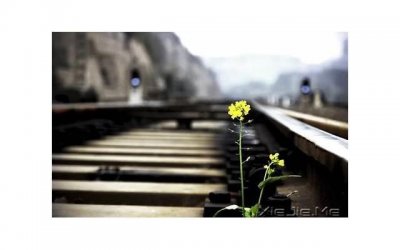 ​教大家断联多久才可以开始挽回