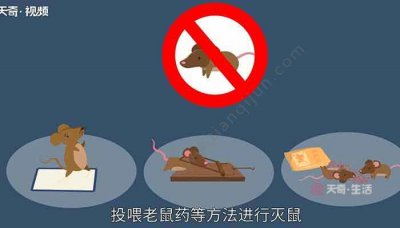 ​最好的灭鼠方法（农村消灭老鼠最常用到的土办法分享）