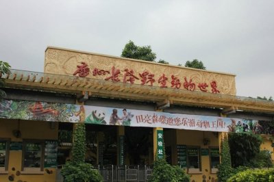 ​广州长隆野生动物世界旅游攻略