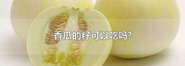 香瓜的皮和籽能吃,香瓜籽可以吃吗图3