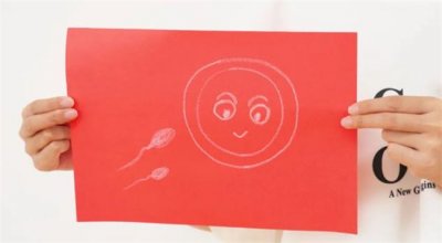 ​男人可以捐精 女人为什么不可以捐卵