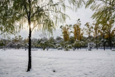 ​（外代二线）韩国多地遭遇大雪天气
