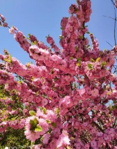 ​怎样从失恋走出来(失恋怎么快速走出来)