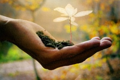 ​人的命运真的是天注定的吗？看完颠覆你的认知！