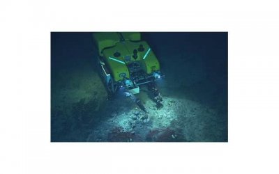 ​我怀孕期间，他出轨了他的初恋