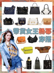 ​杨幂大牌包包大盘点||杨幂算是红的很久的一线女艺人
