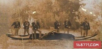 ​世界上唯一一只恐龙刚果恐龙魔克拉姆边贝，被人类吃掉，可惜了