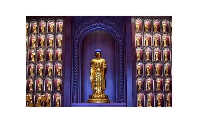 追风筝的人最经典一句话