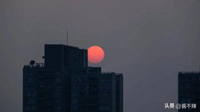 ​他大舅他二舅都是他舅，天在上地在下你娃甭牛