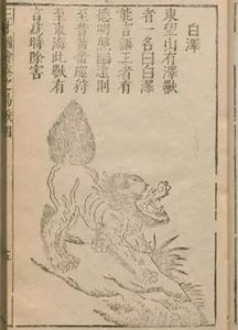 ​「重案纪实」神兽“白泽”归去来兮记