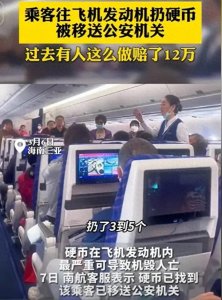 ​乘客往飞机发动机扔硬币还隐瞒数量，网友评论区炸锅