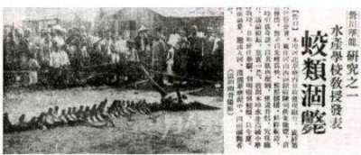 ​1972面无表情的女人真的假的
