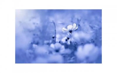 ​一个男生在你面前提前女友什么意思