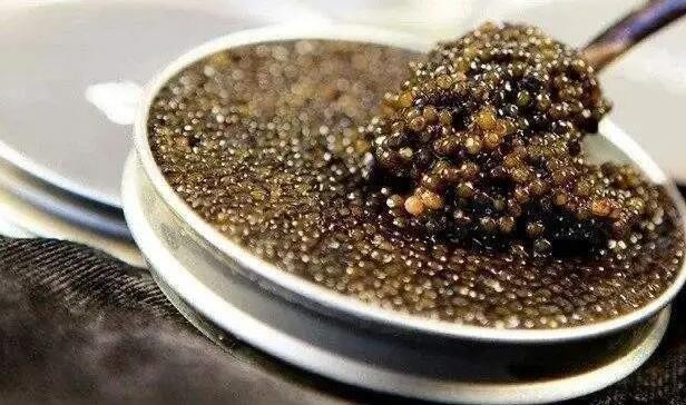 十大世界上最高端的十种食材（十大最贵食物排行榜）  4