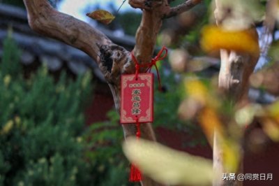 ​都说“二月怕初一”，明日二月初一，究竟怕啥？早了解