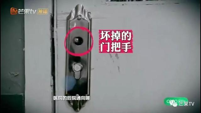 《明星大侦探》终章开启！大张伟斥巨资整容，何炅拉双眼皮变美！