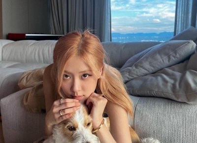 ​最简单的网站制作视频教程