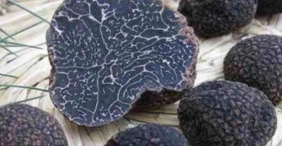 ​世界上最贵的十种食物（伊比利亚火腿榜上第三）