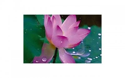 ​退休之后，“做自己”才有意义