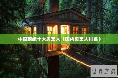 ​中国顶级十大男艺人（国内男艺人排名）