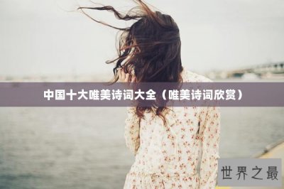 ​中国十大唯美诗词大全（唯美诗词欣赏）