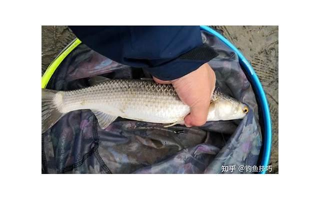  感情不必拿来慷慨，深情何须用来显摆