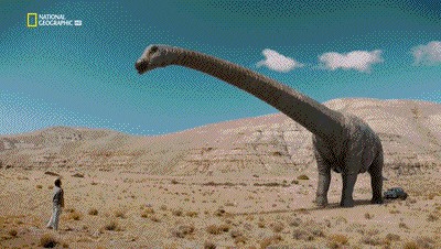 世界十大巨兽排行榜（地球10大远古巨兽介绍）