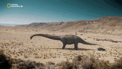 世界十大巨兽排行榜（地球10大远古巨兽介绍）