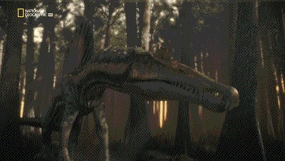 世界十大巨兽排行榜（地球10大远古巨兽介绍）