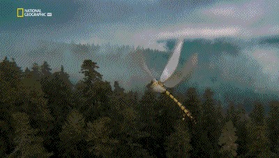 世界十大巨兽排行榜（地球10大远古巨兽介绍）