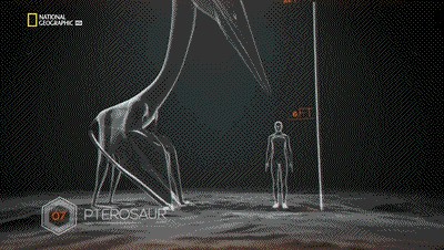 世界十大巨兽排行榜（地球10大远古巨兽介绍）