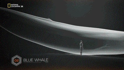 世界十大巨兽排行榜（地球10大远古巨兽介绍）