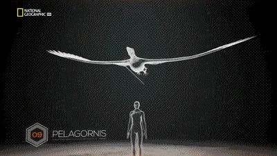 世界十大巨兽排行榜（地球10大远古巨兽介绍）