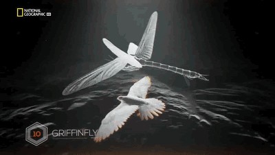 世界十大巨兽排行榜（地球10大远古巨兽介绍）