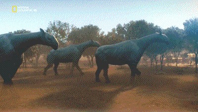 世界十大巨兽排行榜（地球10大远古巨兽介绍）