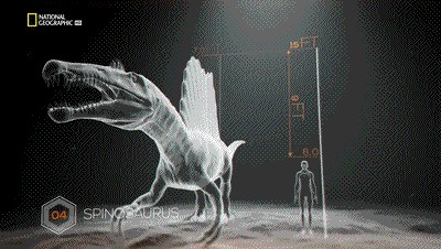 世界十大巨兽排行榜（地球10大远古巨兽介绍）