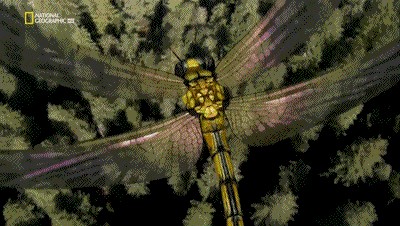 世界十大巨兽排行榜（地球10大远古巨兽介绍）