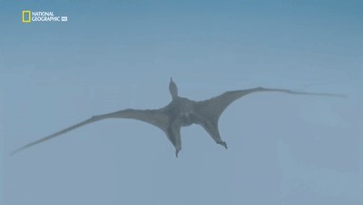 世界十大巨兽排行榜（地球10大远古巨兽介绍）