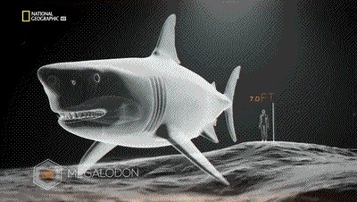 世界十大巨兽排行榜（地球10大远古巨兽介绍）