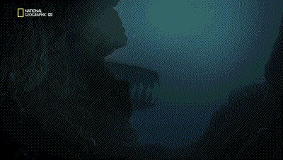 世界十大巨兽排行榜（地球10大远古巨兽介绍）