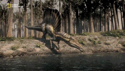 世界十大巨兽排行榜（地球10大远古巨兽介绍）