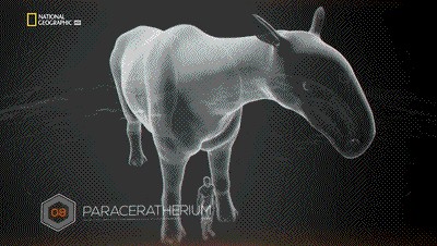 世界十大巨兽排行榜（地球10大远古巨兽介绍）